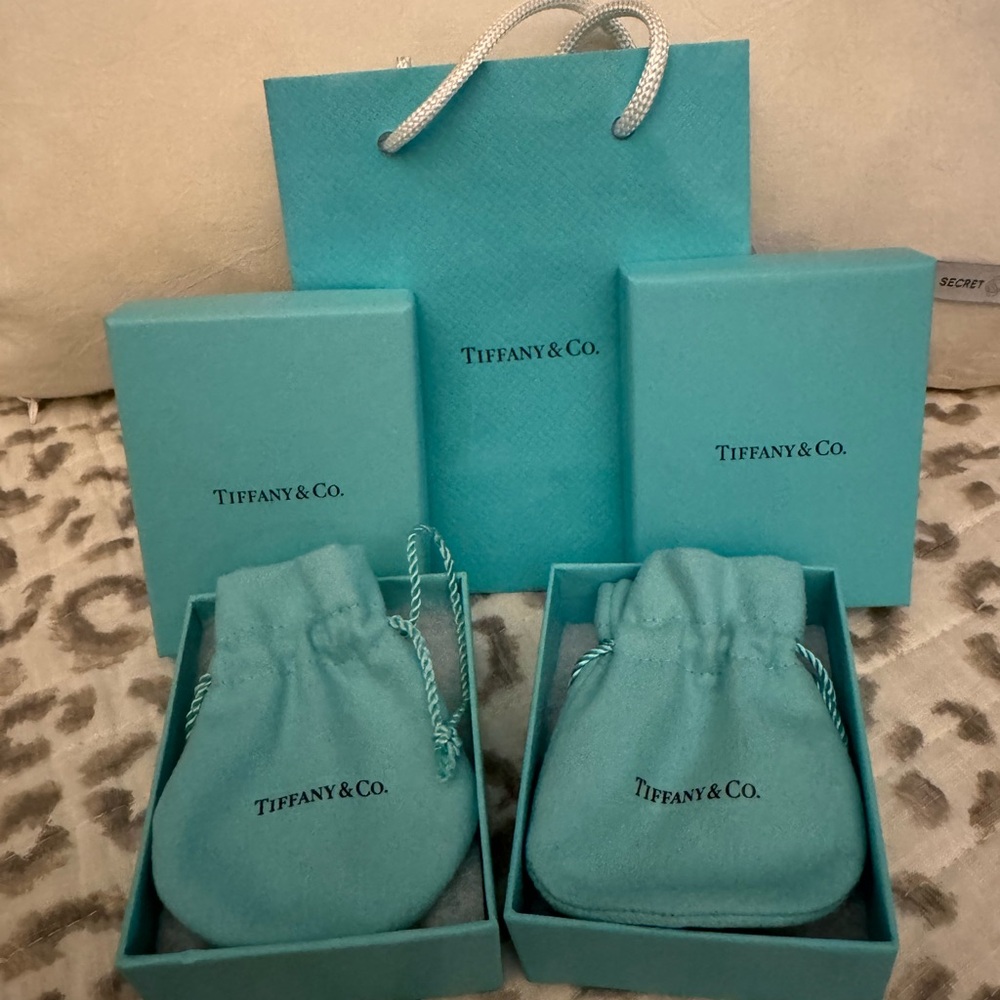 Tiffany & Co. Signature Blue Jewelry Pouches & Boxes and 1 Gift Bag